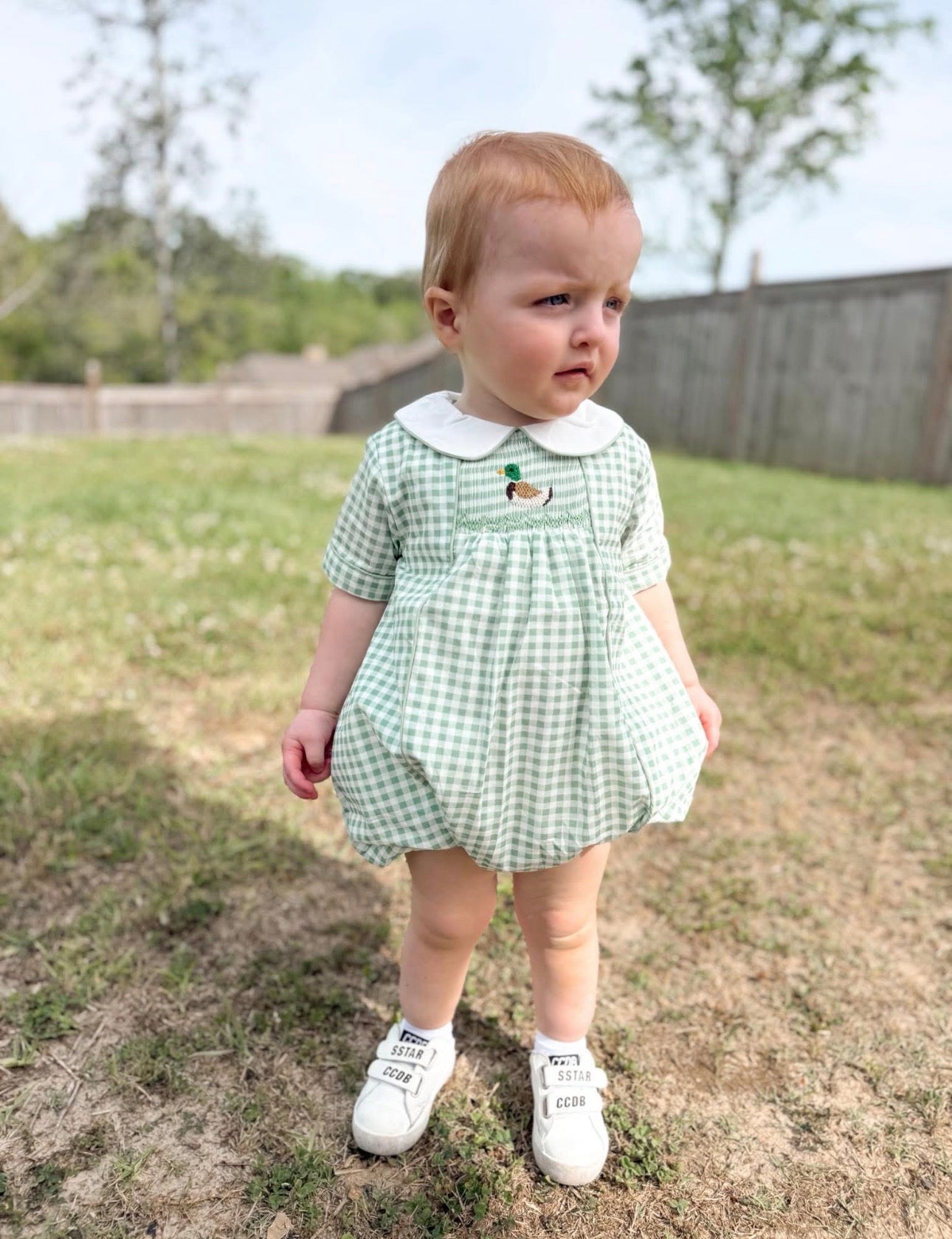 RTS : Dressy Mallard Boy Bubble