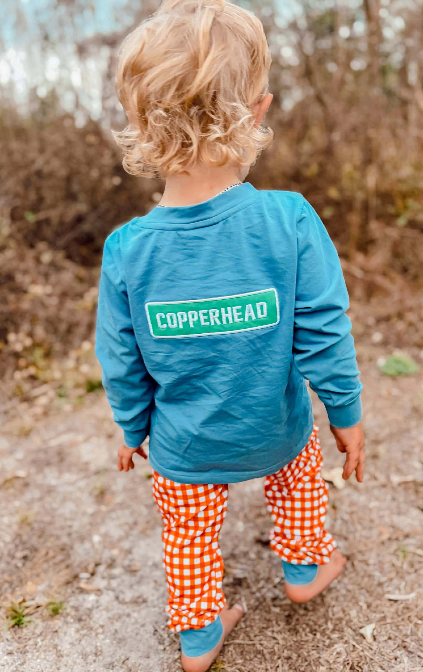 RTS : Copperhead Road Set